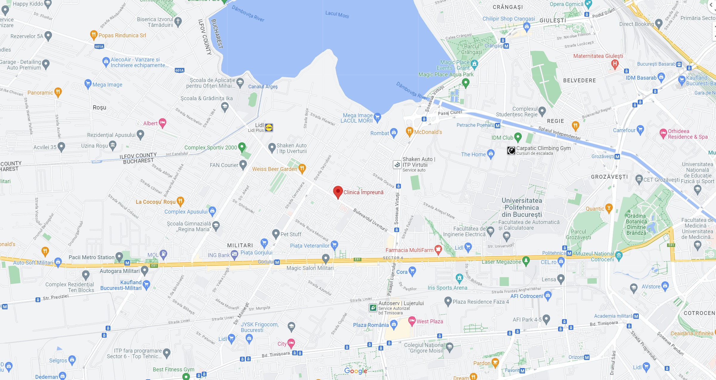 https://www.alevis.ro/wp-content/uploads/2023/05/Google_Maps.png