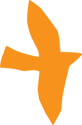 https://www.alevis.ro/wp-content/uploads/2023/05/floating_image_02-1.png