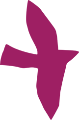 https://www.alevis.ro/wp-content/uploads/2023/05/floating_image_02-2.png